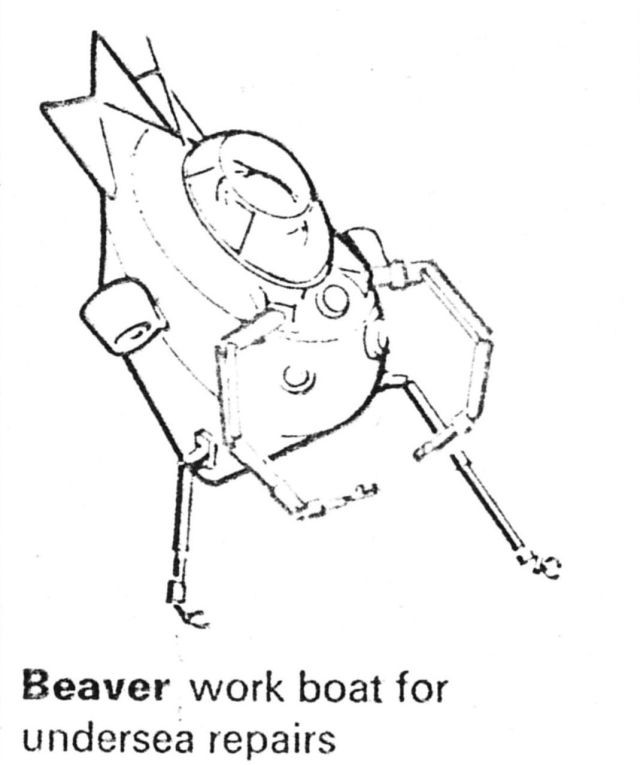 beaver-illustration_0001 - Copy-x640