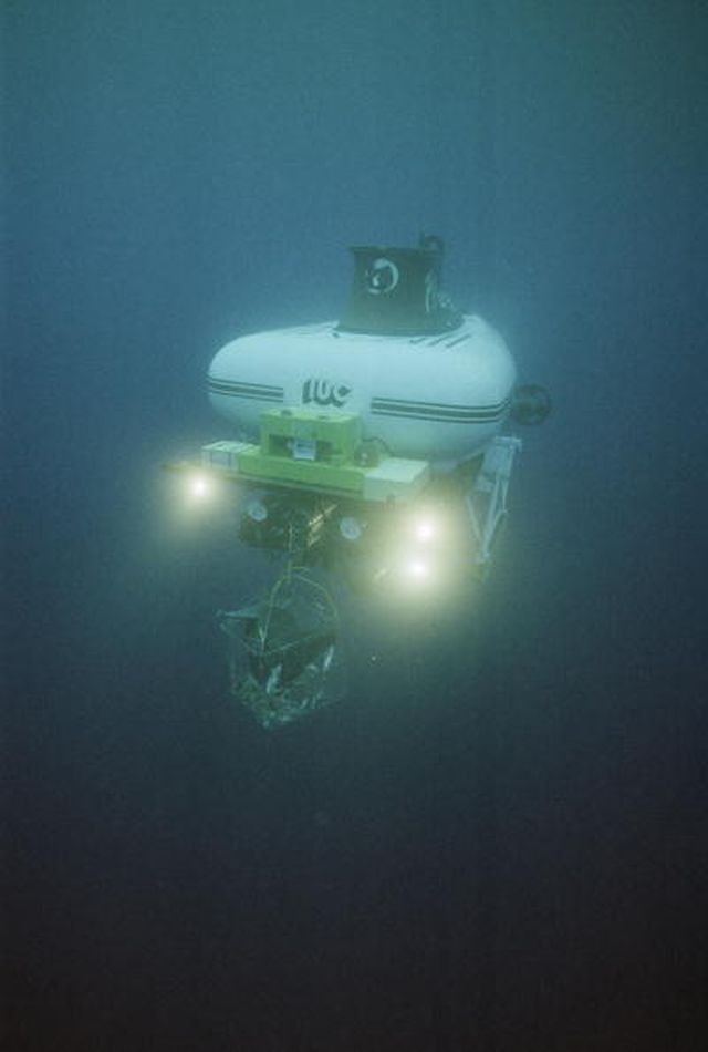 The "Pisces VI" submersible holds a bait cage to attract sha