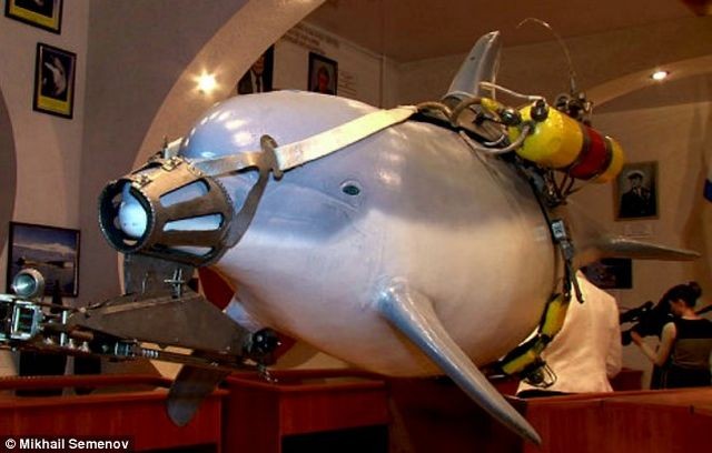 ukraine-dolphin-museum-x640