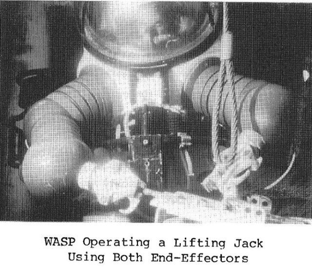 wasp-jack-x640