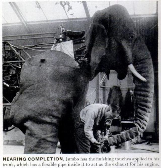  - stuart-elephant-life-18dec1950-p3-x640